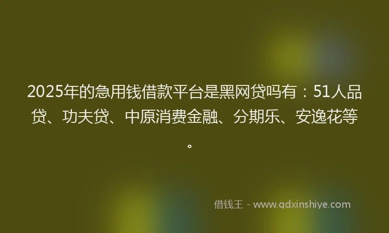 2025年的急用钱借款平台是黑网贷吗有：51人品贷、功夫贷、中原消费金融、分期乐、安逸花等。