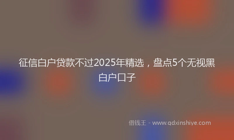 征信白户贷款不过2025年精选，盘点5个无视黑白户口子