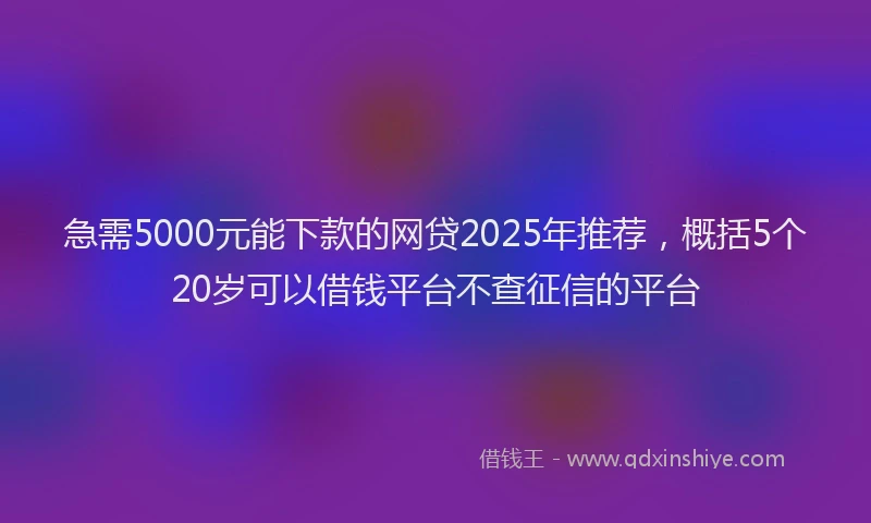急需5000元能下款的网贷2025年推荐，概括5个20岁可以借钱平台不查征信的平台