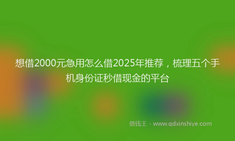 想借2000元急用怎么借2025年推荐，梳理五个手机身份证秒借现金的平台