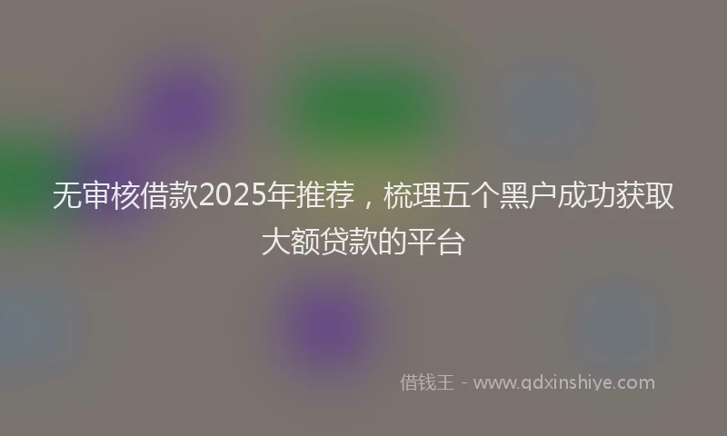 无审核借款2025年推荐，梳理五个黑户成功获取大额贷款的平台