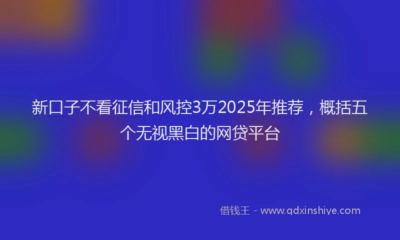 新口子不看征信和风控3万2025年推荐，概括五个无视黑白的网贷平台