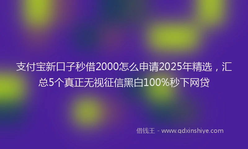 支付宝新口子秒借2000怎么申请2025年精选，汇总5个真正无视征信黑白100%秒下网贷
