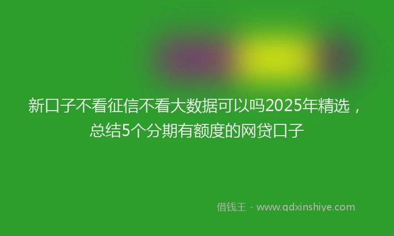 新口子不看征信不看大数据可以吗2025年精选，总结5个分期有额度的网贷口子