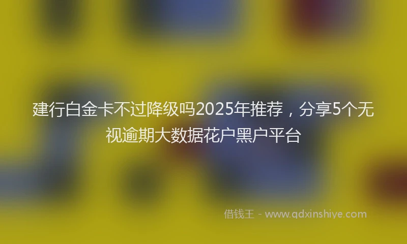 建行白金卡不过降级吗2025年推荐，分享5个无视逾期大数据花户黑户平台