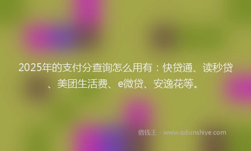 2025年的支付分查询怎么用有：快贷通、读秒贷、美团生活费、e微贷、安逸花等。