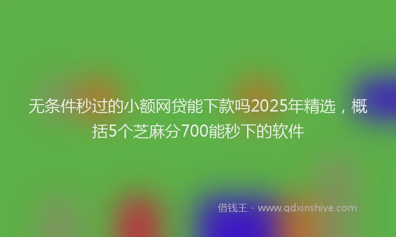 无条件秒过的小额网贷能下款吗2025年精选，概括5个芝麻分700能秒下的软件