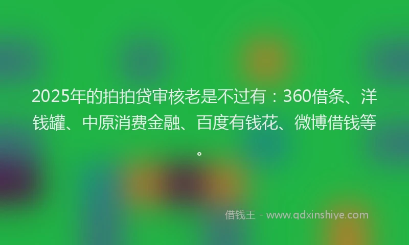 2025年的拍拍贷审核老是不过有：360借条、洋钱罐、中原消费金融、百度有钱花、微博借钱等。
