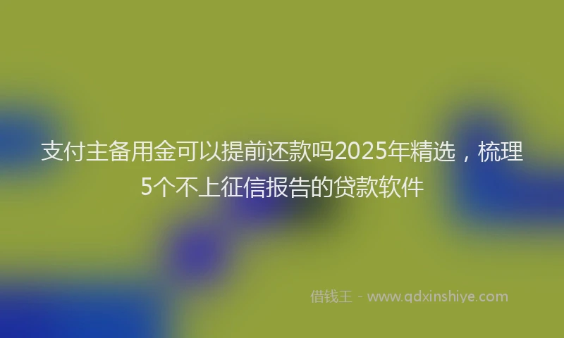 支付主备用金可以提前还款吗2025年精选，梳理5个不上征信报告的贷款软件