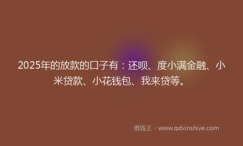 2025年的放款的口子有：还呗、度小满金融、小米贷款、小花钱包、我来贷等。