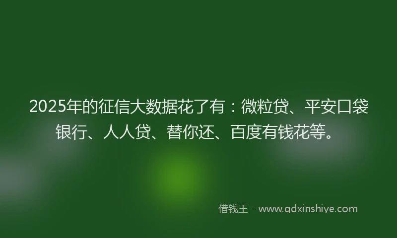 2025年的征信大数据花了有：微粒贷、平安口袋银行、人人贷、替你还、百度有钱花等。