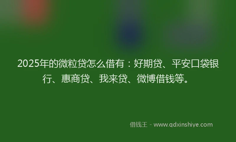 2025年的微粒贷怎么借有：好期贷、平安口袋银行、惠商贷、我来贷、微博借钱等。