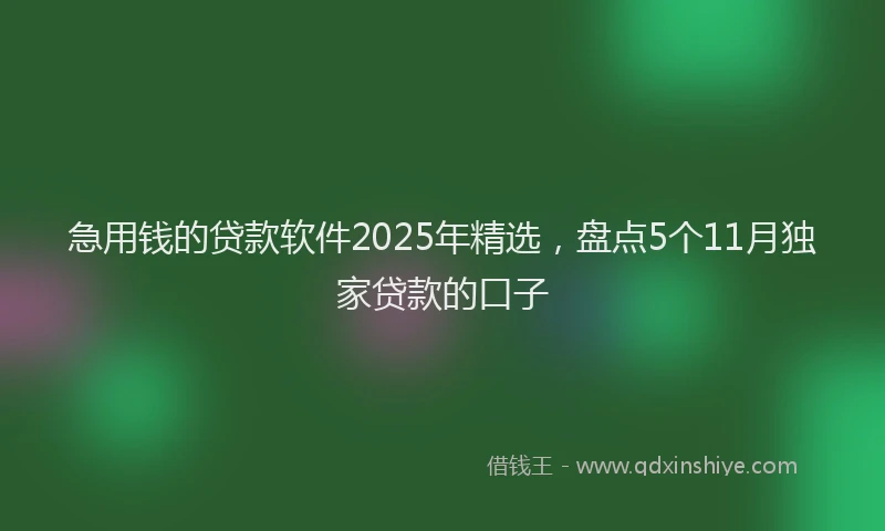 急用钱的贷款软件2025年精选，盘点5个11月独家贷款的口子