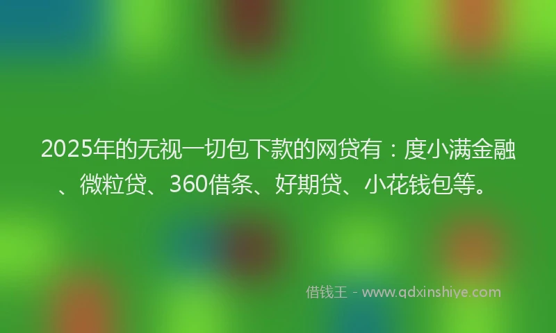 2025年的无视一切包下款的网贷有：度小满金融、微粒贷、360借条、好期贷、小花钱包等。