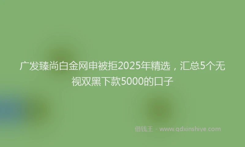 广发臻尚白金网申被拒2025年精选，汇总5个无视双黑下款5000的口子