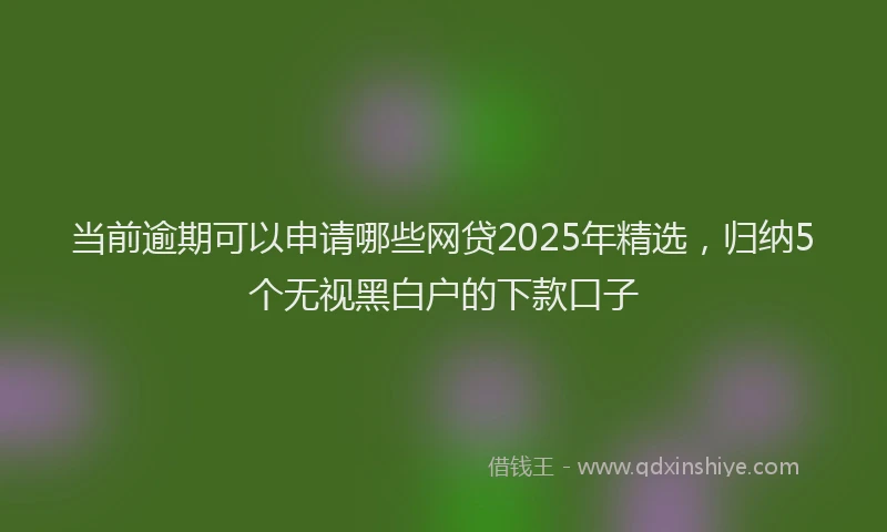 当前逾期可以申请哪些网贷2025年精选，归纳5个无视黑白户的下款口子