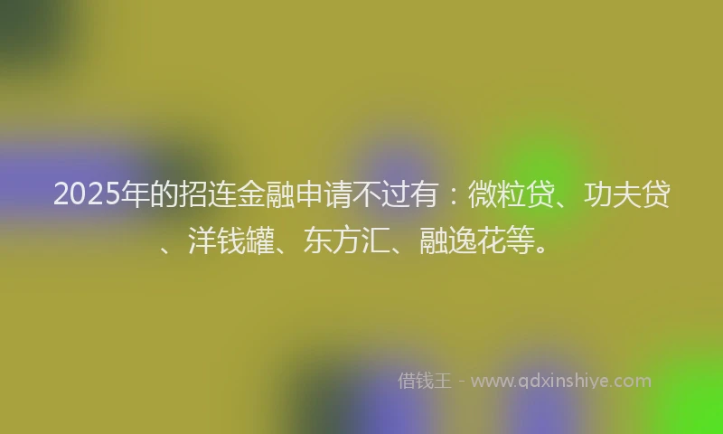 2025年的招连金融申请不过有：微粒贷、功夫贷、洋钱罐、东方汇、融逸花等。