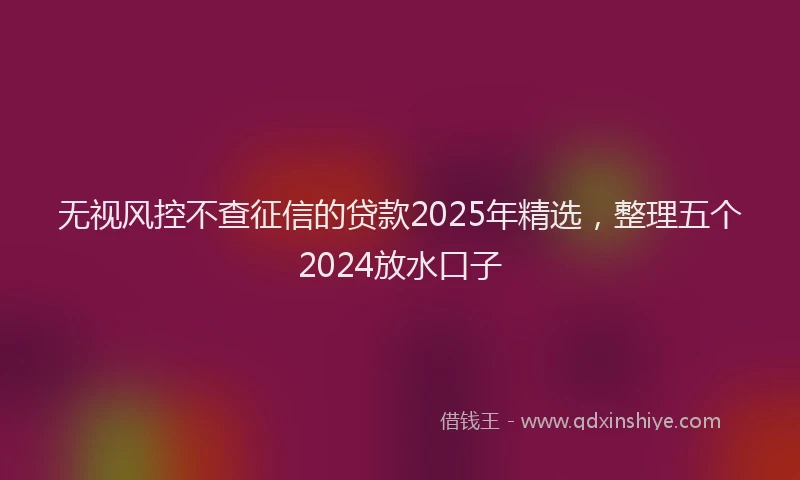 无视风控不查征信的贷款2025年精选，整理五个2024放水口子