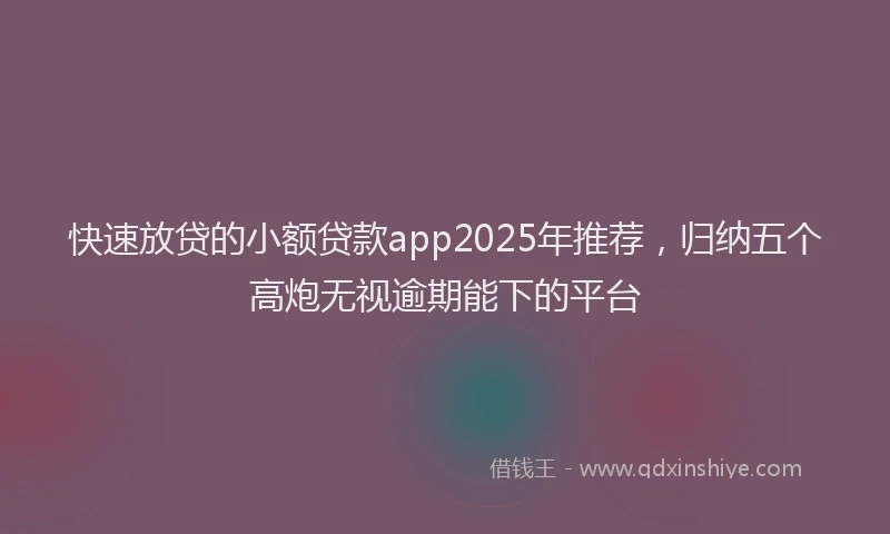 快速放贷的小额贷款app2025年推荐，归纳五个高炮无视逾期能下的平台