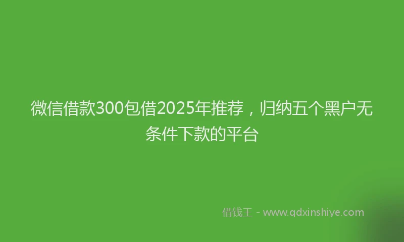 微信借款300包借2025年推荐，归纳五个黑户无条件下款的平台