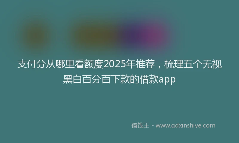 支付分从哪里看额度2025年推荐，梳理五个无视黑白百分百下款的借款app