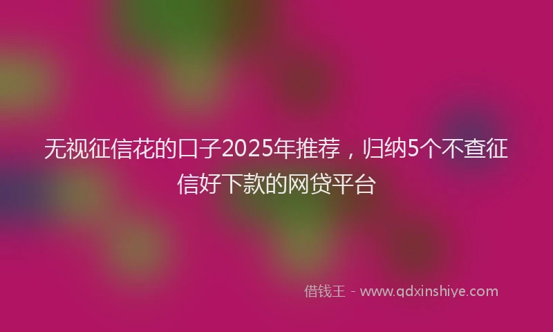 无视征信花的口子2025年推荐，归纳5个不查征信好下款的网贷平台