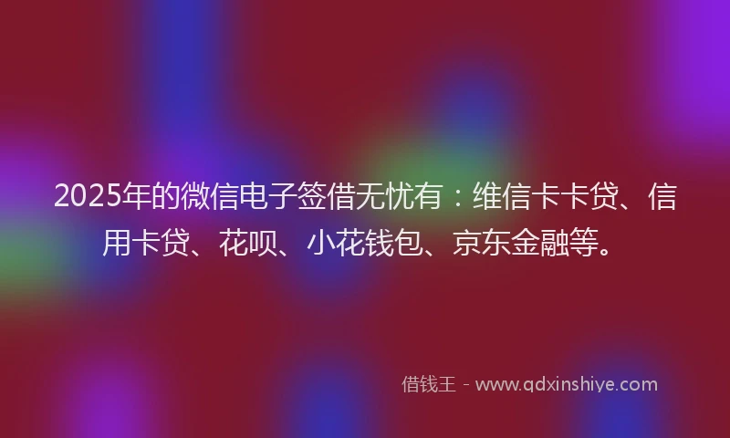 2025年的微信电子签借无忧有：维信卡卡贷、信用卡贷、花呗、小花钱包、京东金融等。