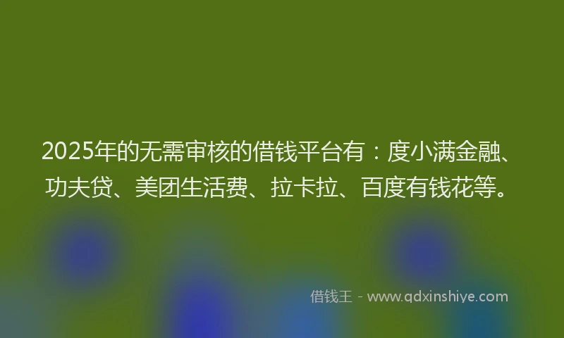 2025年的无需审核的借钱平台有：度小满金融、功夫贷、美团生活费、拉卡拉、百度有钱花等。