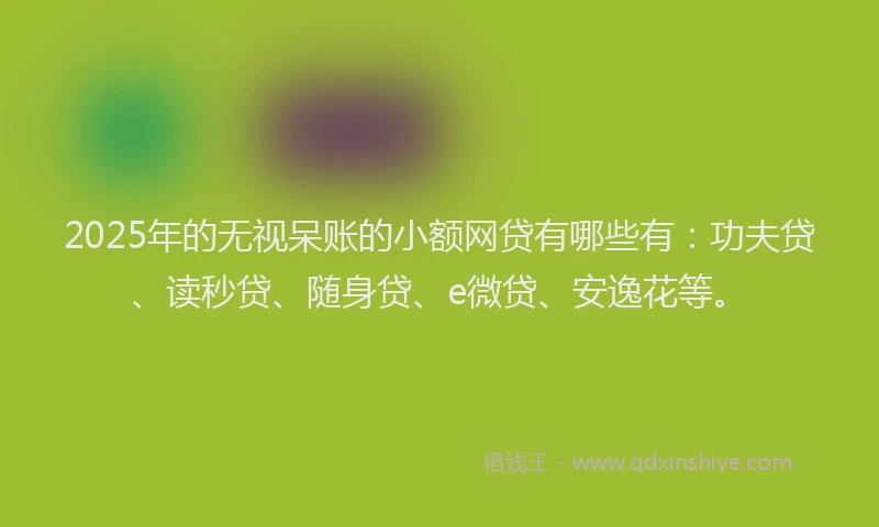 2025年的无视呆账的小额网贷有哪些有：功夫贷、读秒贷、随身贷、e微贷、安逸花等。