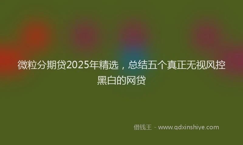 微粒分期贷2025年精选，总结五个真正无视风控黑白的网贷
