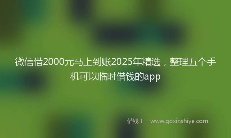 微信借2000元马上到账2025年精选，整理五个手机可以临时借钱的app