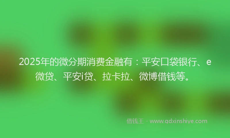 2025年的微分期消费金融有：平安口袋银行、e微贷、平安i贷、拉卡拉、微博借钱等。