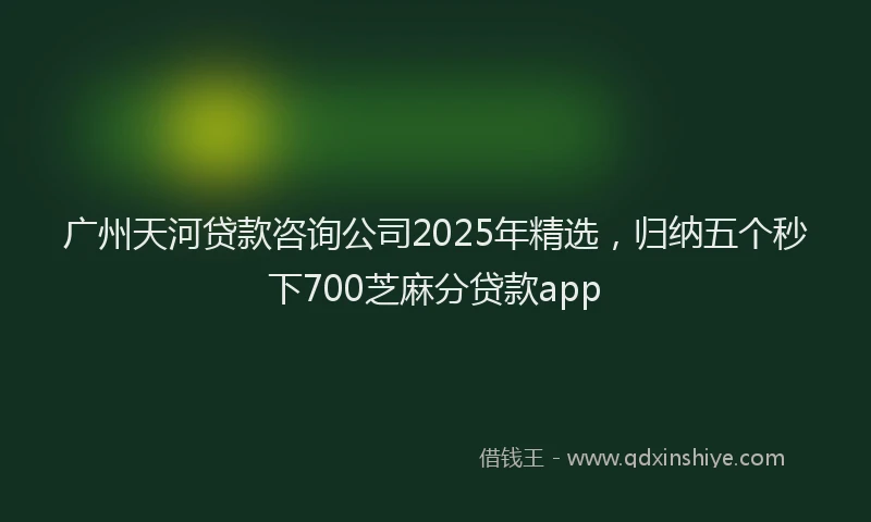 广州天河贷款咨询公司2025年精选，归纳五个秒下700芝麻分贷款app