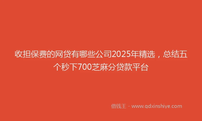 收担保费的网贷有哪些公司2025年精选，总结五个秒下700芝麻分贷款平台
