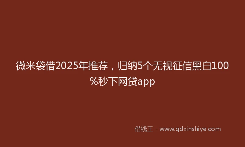 微米袋借2025年推荐，归纳5个无视征信黑白100%秒下网贷app