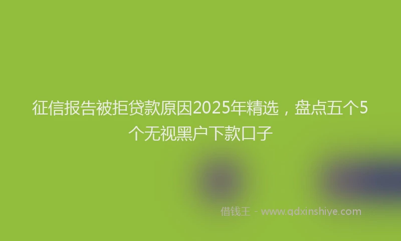 征信报告被拒贷款原因2025年精选，盘点五个5个无视黑户下款口子