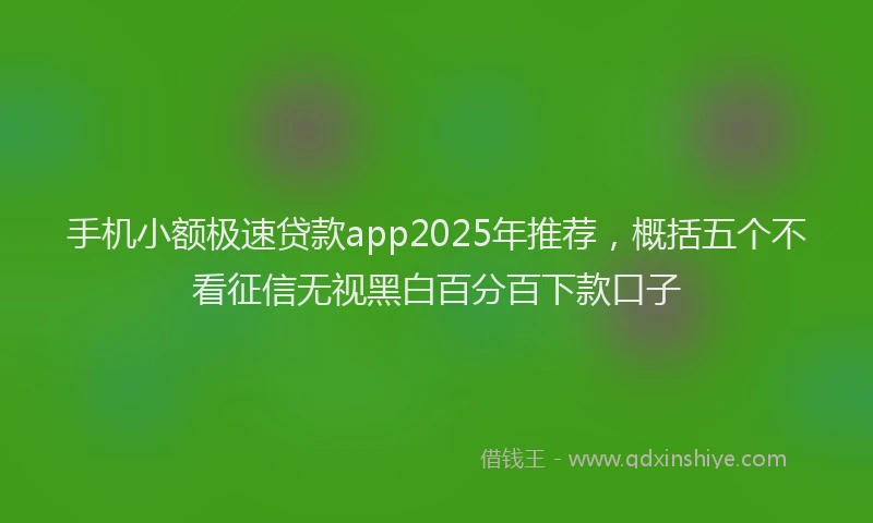 手机小额极速贷款app2025年推荐，概括五个不看征信无视黑白百分百下款口子