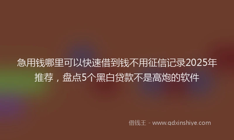 急用钱哪里可以快速借到钱不用征信记录2025年推荐，盘点5个黑白贷款不是高炮的软件