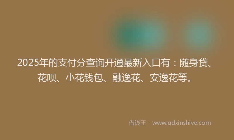 2025年的支付分查询开通最新入口有：随身贷、花呗、小花钱包、融逸花、安逸花等。