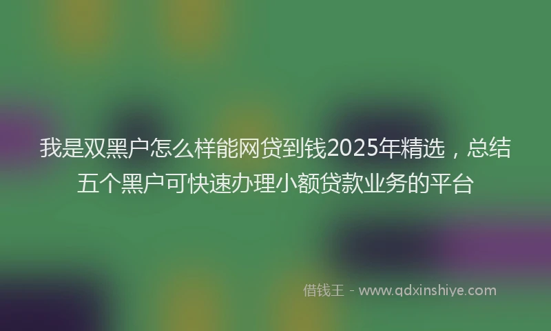 我是双黑户怎么样能网贷到钱2025年精选，总结五个黑户可快速办理小额贷款业务的平台