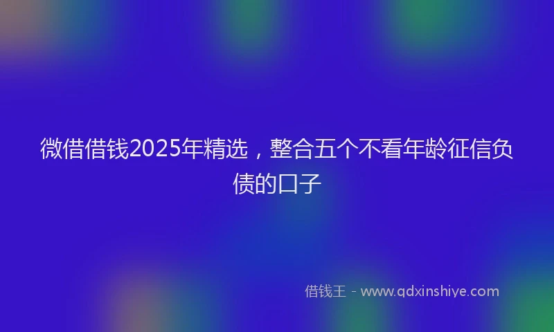 微借借钱2025年精选，整合五个不看年龄征信负债的口子