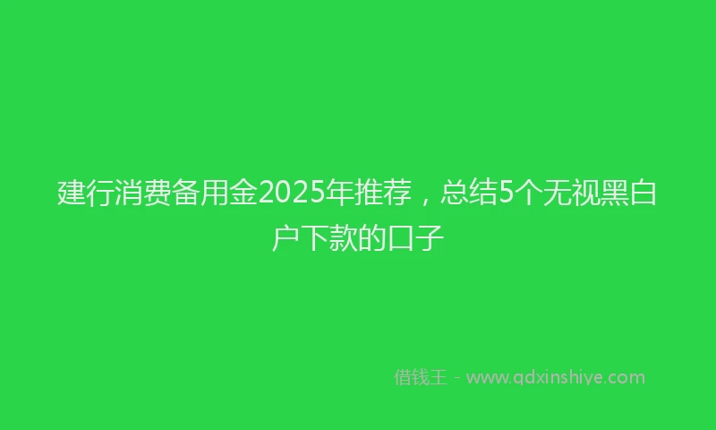 建行消费备用金2025年推荐，总结5个无视黑白户下款的口子