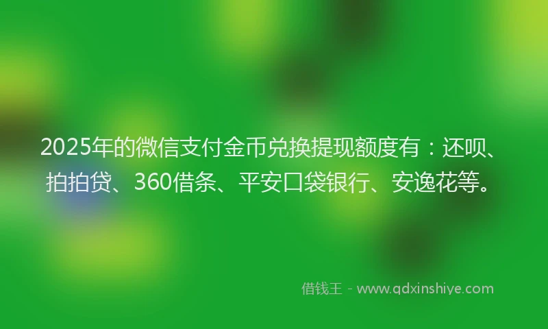 2025年的微信支付金币兑换提现额度有：还呗、拍拍贷、360借条、平安口袋银行、安逸花等。