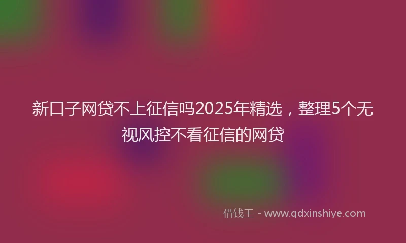 新口子网贷不上征信吗2025年精选，整理5个无视风控不看征信的网贷