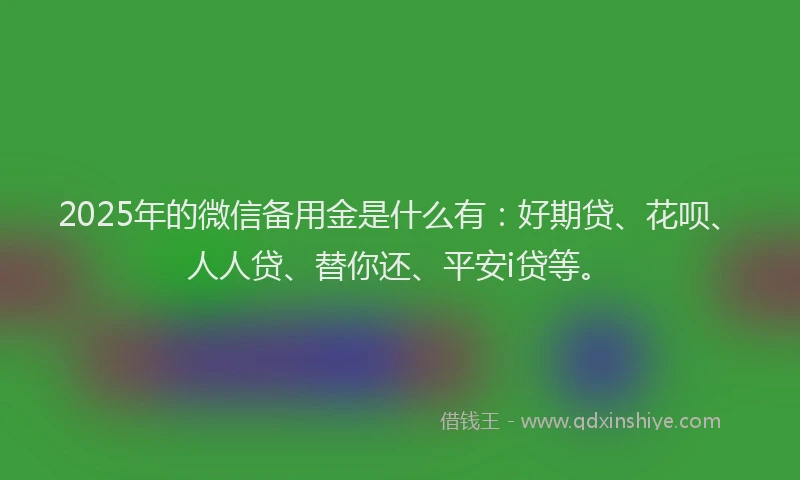 2025年的微信备用金是什么有：好期贷、花呗、人人贷、替你还、平安i贷等。