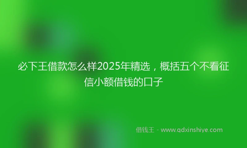 必下王借款怎么样2025年精选，概括五个不看征信小额借钱的口子