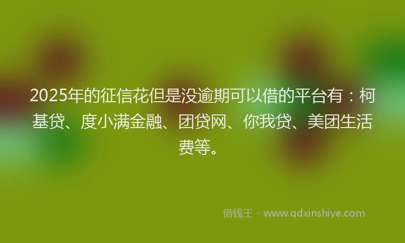 2025年的征信花但是没逾期可以借的平台有：柯基贷、度小满金融、团贷网、你我贷、美团生活费等。