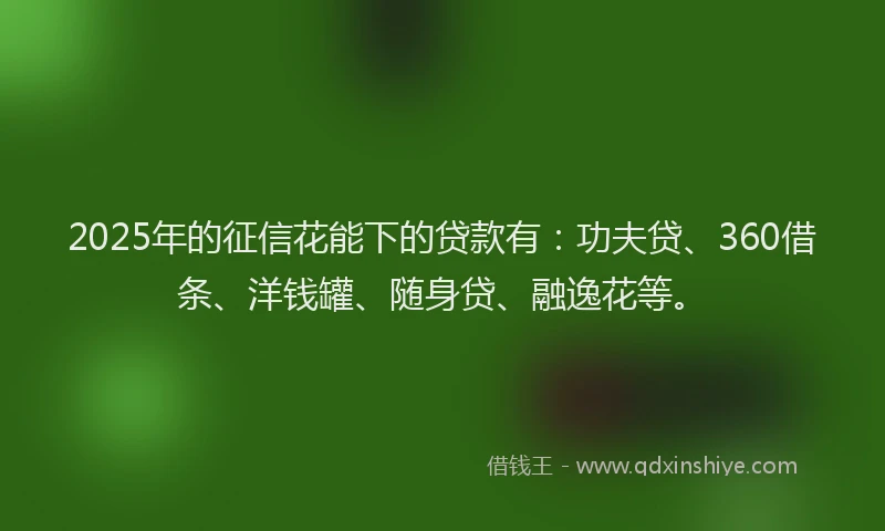 2025年的征信花能下的贷款有：功夫贷、360借条、洋钱罐、随身贷、融逸花等。