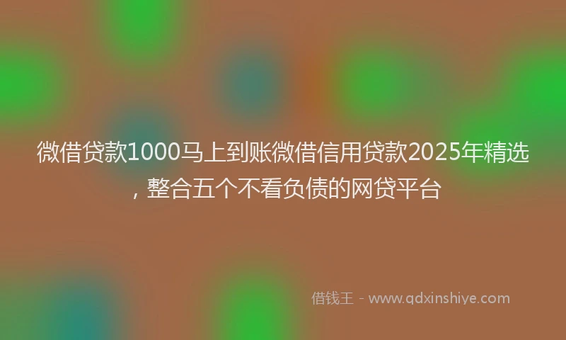 微借贷款1000马上到账微借信用贷款2025年精选，整合五个不看负债的网贷平台