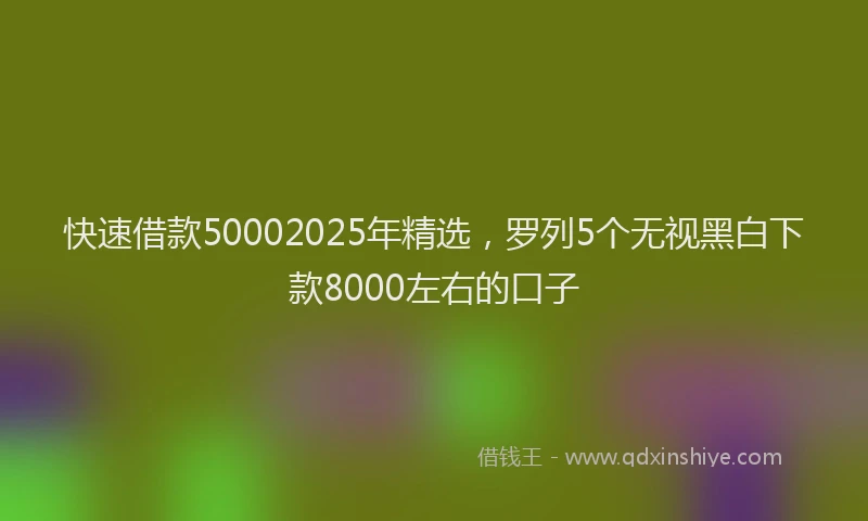 快速借款50002025年精选，罗列5个无视黑白下款8000左右的口子